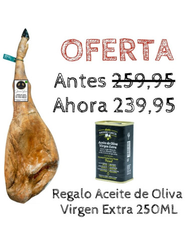Jamón de Cebo de Campo Ibérico 50% raza Ibérica Oferta Pata Negra Rivera