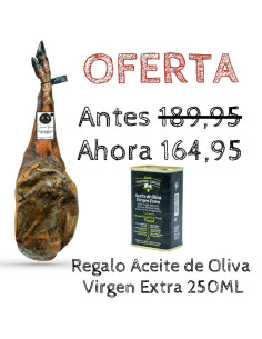 Paletilla de bellota 100% ibérica en oferta Jamones Rivera