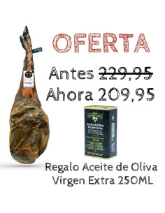 Paletilla de bellota 100% ibérica en oferta Jamones Rivera